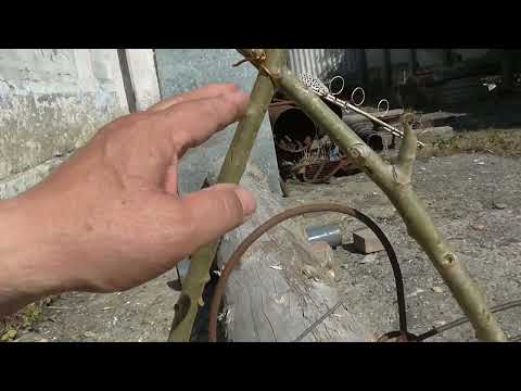 Trap at the "crossing," a video for hunters. 2022