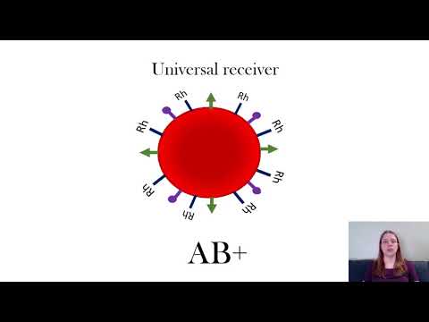 Blood Types | The Basics