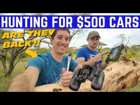 I Went HUNTING For The $500 Cars The Internet Said Are BACK