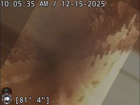 749 West Birch court