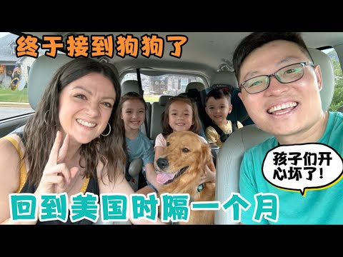 深夜到达美国的家，姥姥姥爷给了我们很大的惊喜！迫不及得去接巴克利，时隔一个月再次见到巴克利孩子们开心坏了！