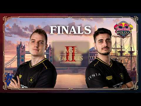THE GREATEST AGE OF EMPIRES II FINAL EVER | Red Bull Wololo Londinium | Hera vs Liereyy
