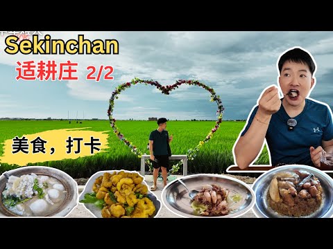 [Sekinchan 适耕庄～美食，打卡2/2] 稻田喜见双彩虹！抆记瓦煲咖喱鲨鱼！建旗鲨鱼粥！金记盐焗苏东！阿娇海鲜！合群茶室！海成发鱼行！日日发茶室糯米猪！祥哥黄金炸料！外家料理！Hay Cafe