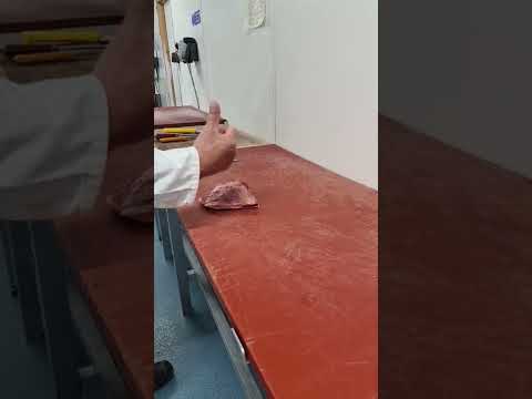 Picanha cutting with Franco.