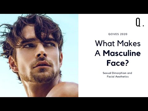 What Makes A Masculine Face? | Sexual Dimorphism & Attraction Research