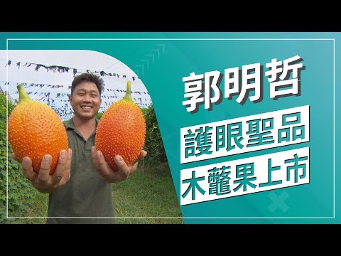 草地狀元-顧眼聖品木虌果達人(2019.07.29播出)Mubiezi