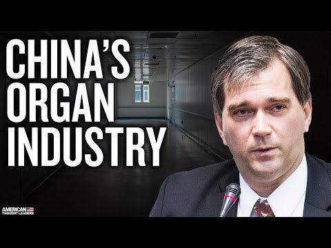 How China's Operating Rooms Turned Into Execution Grounds: Dr. Torsten Trey