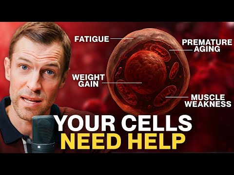 This ONE Thing Controls Your Energy, Healing, and Health