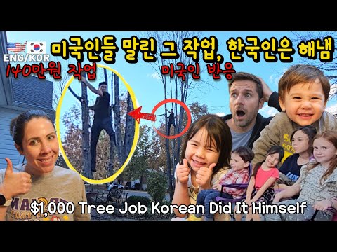 미국에서 140만원 드는 나무자르기… 한국인은 그냥 해버립니다