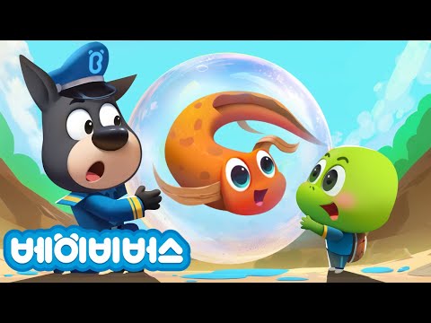 신비한 물고기 친구 + 동화모음 | 안전교육 | 애니메이션 | 래브라도 경장 | 베이비버스 | BabyBus
