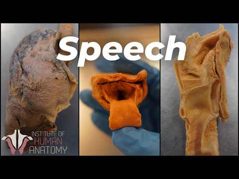 Humans Have an Actual Superpower...