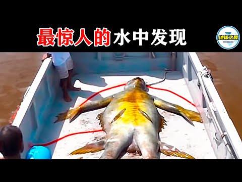 差点禁播！怪物被捕后冲破渔网，接下来一幕让人头皮发麻！20个最惊人的水中发现，带你走进神秘的未知世界！丨地球之最#冷知识 #排名 #世界之最#惊人发现#美人鱼#世界之最top#top10