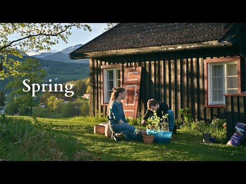 Preparing our simple cottage garden for summer