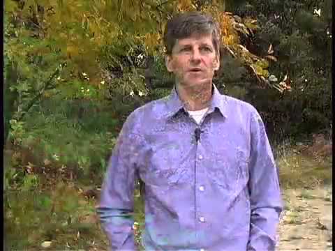 What the Robin Knows - Bird Language with Jon Young