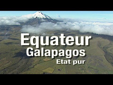 "Equateur/Galapagos, état pur" un film de Pierre Brouwers