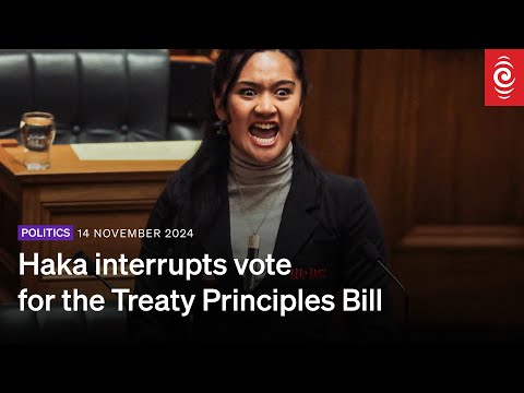 Treaty Principles Bill: Haka interrupts vote, House suspended by Speaker Gerry Brownlee | RNZ