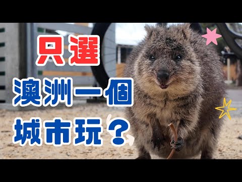 如果只能選擇澳洲的一個城市旅遊，那一定是珀斯 | 喜歡珀斯的5個理由 | 微笑袋鼠 短尾矮袋鼠