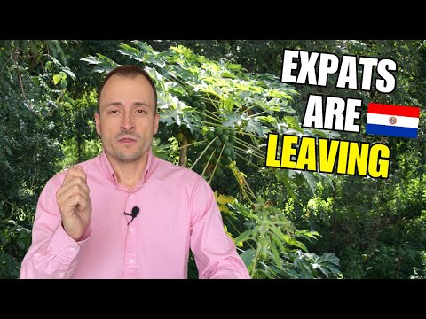 Expats Are Leaving Paraguay In 2026.. What Are Their Reasons?