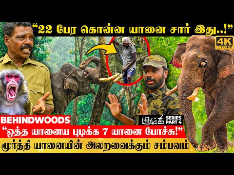 "7 யானை.. 100 பேர்.. மூர்த்தி யானைய அசைக்கவே முடியல சார்!" - பதை பதைக்கவைக்கும் பேட்டி