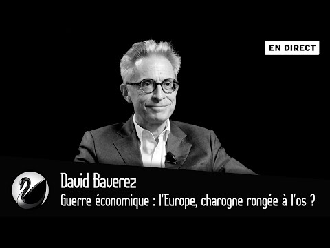 Guerre économique : l'Europe, charogne rongée à l'os ? David Baverez [EN DIRECT]