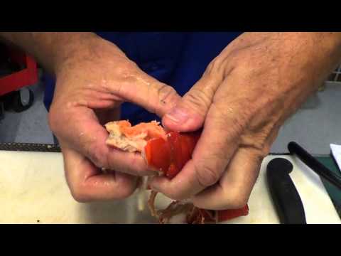How to Prep and Cook Pre Cooked Lobster