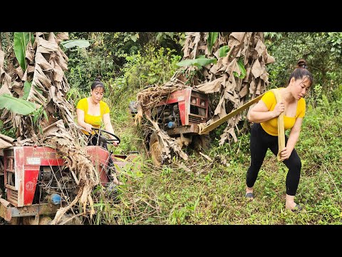 The Girl Restored an Abandoned Tractor That Had Been in the Woods for Years