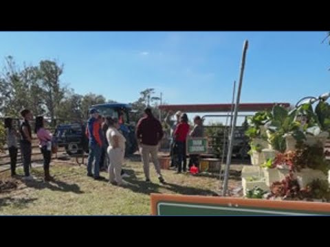 Kumquat farm in Dade city prepares for cold temps