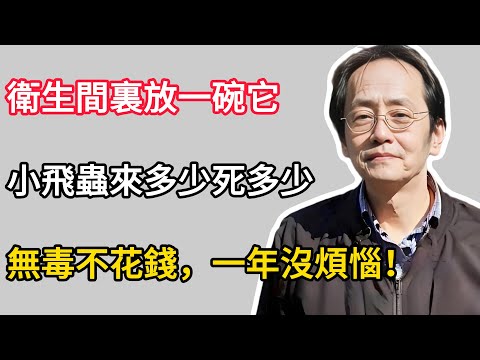 倪海廈：衛生間裏放一碗它，小飛蟲來多少死多少，無毒不花錢，一年沒煩惱！#倪海廈 #養生 #健康養生