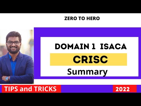 CRISC Domain 1 Governance Summary