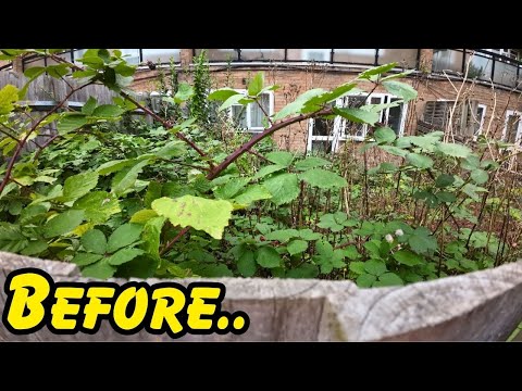 We've NEVER Gone This Far! Our FIRST Garden Renovation Helping Others..