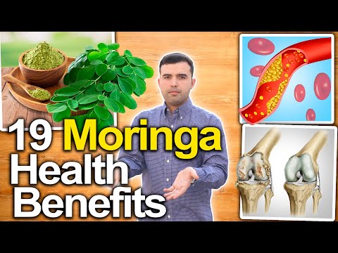 TOO MANY MORINGA HEALTH BENEFITS FOR YOU TO SEE - Scientifically Based Moringa  Health Benefits