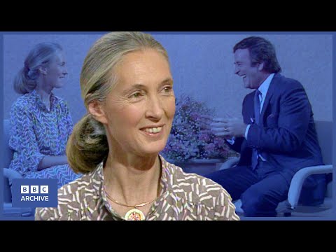 1986: JANE GOODALL Interview | Wogan | Classic Interviews | BBC Archive
