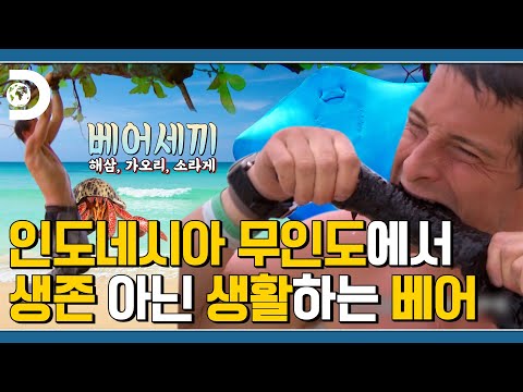 베어세끼 어촌편🌊 😲둘째형 : 형! 세끼만 먹어야지;; 🐻 베어 : 한입만~! 인도네시아 무인도에서 생활하는 베어 그릴스! [Man VS Wild]