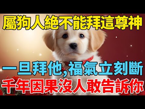 屬狗人絶不能拜這尊神！一旦拜他，福氣立刻斷！千年因果沒人敢告訴你！【禅悟】#生肖 #運勢 #風水 #財運#命理