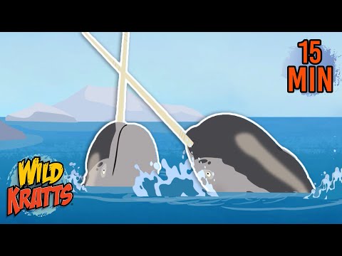 Creature Battles! | Every Creature Showdown Part 21 | New Compilation | Wild Kratts