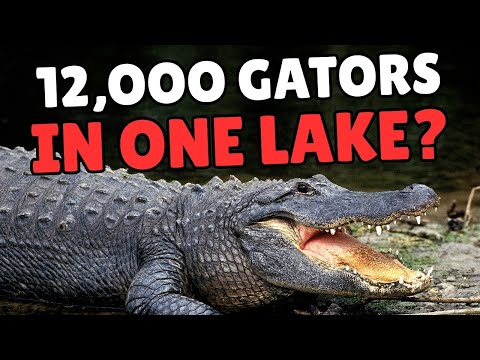 10 Things You Didn’t Know About Orlando