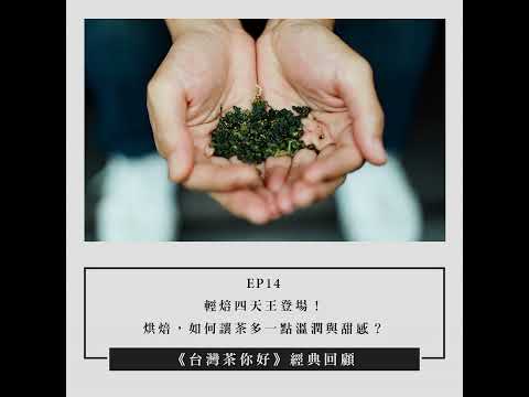 【經典回顧】EP14｜輕焙四天王登場！烘焙，如何讓茶多一點溫潤與甜感？