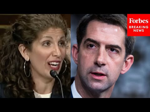 'Last Time You Flew, Did You Have To Show An ID?': Tom Cotton Grills Myrna Perez Over Voter ID Laws