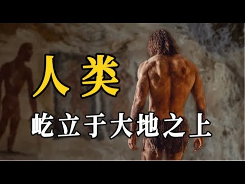 为什么说人类的直立行走是极端小概率事件？