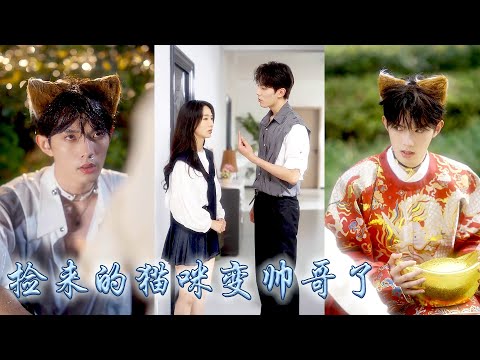 The stray cat I rescued was a handsome, wealthy god, He brought me good luck and doted on me.