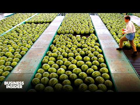 Where America Imports $100+ Billion Of Food From A Year