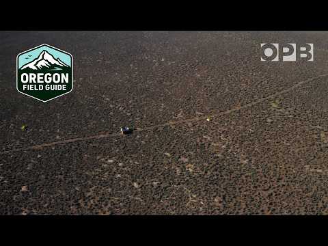 In search of the quietest place in Oregon | Oregon Field Guide