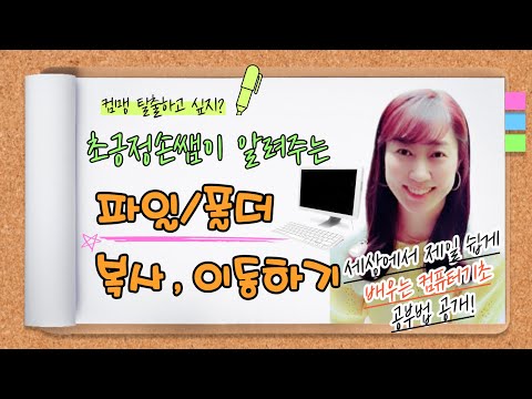 Computer Basics #5 How to Copy and Move Files and Folders