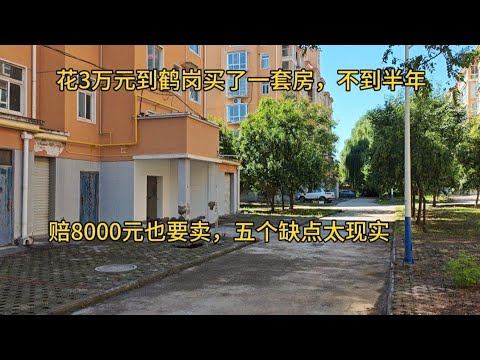 第一批移居鹤岗的年轻人开始大量离开，花3万元到买了一套房，不到半年，赔8000也要卖，五个缺点太现实！