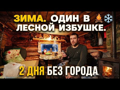 I live with three dogs in a taiga hut. The first marten. Taiga life.