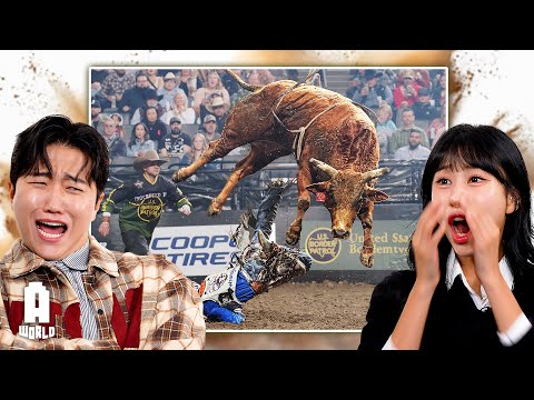 Koreans react to American Bull Riding!