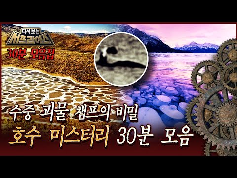 [다시보는 서프라이즈] 수중 괴물 챔프의 비밀 호수 미스터리 30분 모음 MBC 170416 방송