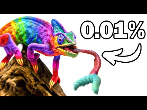 Я Завёл Самую Редкую Питомицу Ящерицу