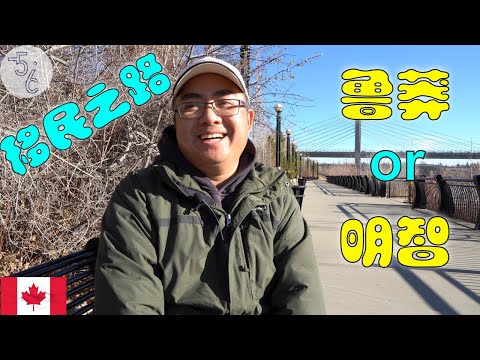 加拿大 移民 | 985大学毕业，移民加拿大炸薯条，剁肉，送餐......