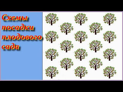 Orchard Planting Plans. How to Plan a Garden Plot